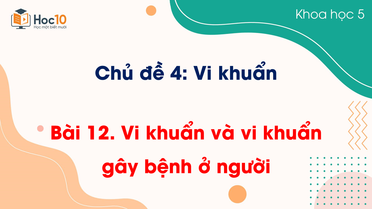 Bài 12 Vi khuẩn và vi khuẩn gây bệnh ở người